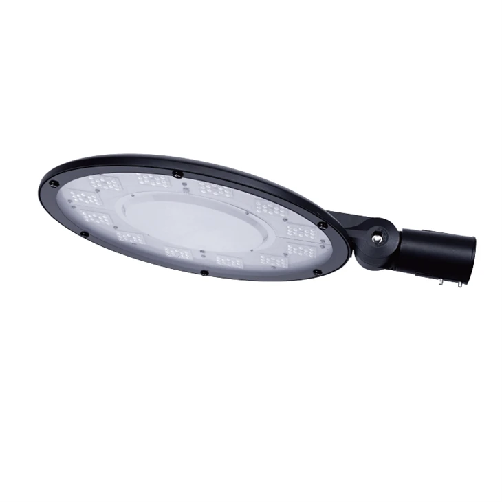 100W Led trädgårdsljus